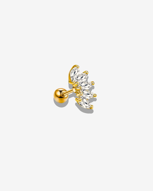 Piercing Rosalia